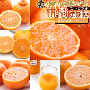 yӂ邳Ɣ[ŁzyIׂ񐔁EeʁzI k | t[c ʕHi lC  