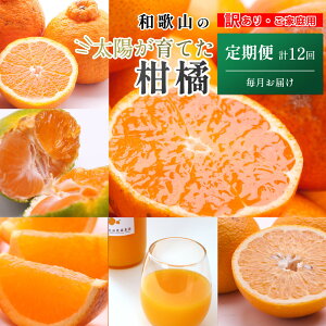 �y�ӂ邳�Ɣ[�Łz�y�I�ׂ�񐔁E�e�ʁz�ƒ�p ���k����� | �t���[�c �ʕ��H�i �l�C �������� ��������