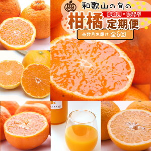 yӂ邳Ɣ[ŁzyIׂ񐔁Eeʁzƒp k | t[c ʕHi lC  