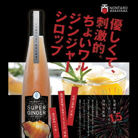 【ふるさと納税】スーパージンジャー2本セット | 飲料 果実飲料 ドリンク 食品 人気 おすすめ 送料無料