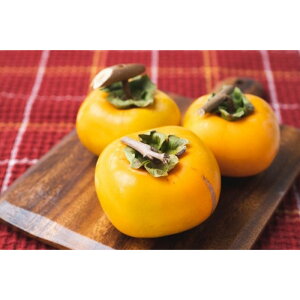 yӂ邳Ɣ[Łz݂邵`p˖a`T̓NbvtRt14.5`15kg@60`902026N10{`11{돇yART12z