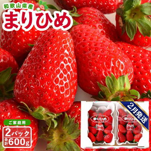 �y�ӂ邳�Ɣ[�Łz�y���ƒ�p�i�ȈՕ�j�z�a�̎R���Y�܂�Ђ߁@1���i2�p�b�N����j�y2026�N1���܂���2���ɂ��͂��z