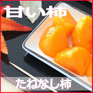yӂ邳Ɣ[Łẑꂽă^lȂ`gLTCYh7.5kg2025N10{`10{\聄yART17z | a̎R a̎Rs a̎R yVӂ邳 [ xi ԗi 񂹃O 