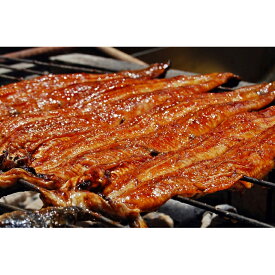 【ふるさと納税】紀州職人焼　一串ずつ丁寧に焼き上げた　国産炭火蒲焼　1尾／2尾／3尾／5尾 | 和歌山 楽天ふるさと 納税 支援品 返礼品 お取り寄せグルメ お取り寄せ 取り寄せ グルメ うなぎ 国産 鰻 ウナギ うなぎ蒲焼 国産うなぎ 国産ウナギ 国産鰻 蒲焼き 魚介類 魚介