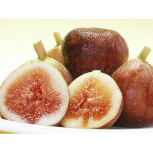 yӂ邳Ɣ[Łza̎RY  Gi1.6kg(400g×4pbN) | a̎R a̎R a̎Rs C`WN ԉ Gi t[c ʕ   O ӂ[
