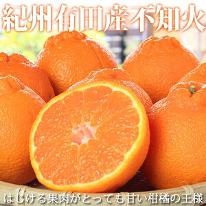 yӂ邳Ɣ[ŁzIBLcYsm(ʂ) 5kgm2026N2{ȍ~nms\nmUT40n |   O t[c ʕ  sm ʂ k k 