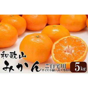 yӂ邳Ɣ[Łza̎RY ݂ 5kg ypETCYsELYzy}^JXz | ݂ k  a̎R t[c ʕ ӂ邳Ɣ[ ԗi