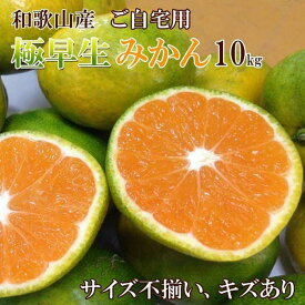 【ふるさと納税】和歌山産 【極早生】みかん 10kg 【ご自宅用・サイズ不揃い・キズ等あり】【ヤマタ大谷商店】