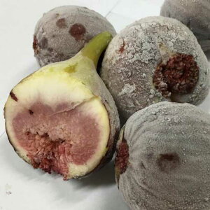 yӂ邳Ɣ[Łza̎RY Ⓚ  1.5kgi500g ×3܁j^3kgi500g ×6܁j