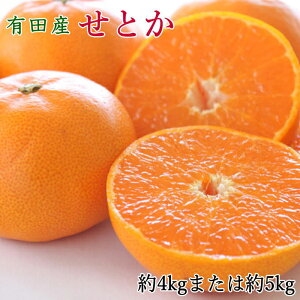 yӂ邳Ɣ[Łzx͐HׂĂuLcŶƂv4`5kgiTCY܂j2026N2{菇mTM138n | a̎Rs a̎R yVӂ邳 [ xi ԗi 