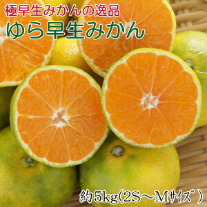 yӂ邳Ɣ[Łzyɑ݂̈iza̎RY瑁݂5kg2025N10{菇yTM120z