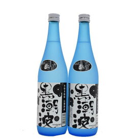 【ふるさと納税】【本格米焼酎・長期熟成】黒潮波720ml×2本セット ［TM256］ | お酒 ギフト プレゼント 飲み会 送料無料 おすすめ
