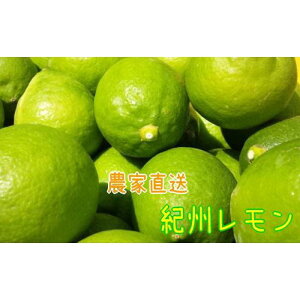 yӂ邳Ɣ[Łz_ƒ IB  2kgyMS94z
