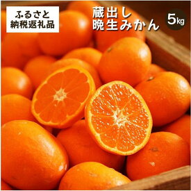 【ふるさと納税】蔵出しみかん晩生　5kg家庭用｜和歌山県海南市下津町の特産品蔵出しみかんの晩生品種【2027年1月発送開始】 | 海南市 蔵出しみかん 晩生 柑橘 果物 フルーツ 甘み 家庭用 人気 おすすめ 冬の味覚 季節限定 お取り寄せ 通販 送料無料 ふるさと納税