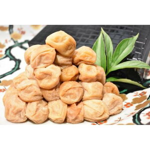 �y�ӂ邳�Ɣ[�Łz�y�M�t�g�I���\�z�����썂�~ �����~800g�� �I�B�h�� �ԑ�͗l�d�� �ySW72�z