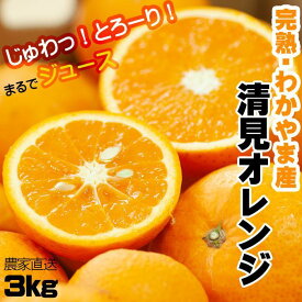 【ふるさと納税】清見オレンジ 3kg【和歌山の清見オレンジ】3月下旬から4月下旬に和歌山県鈴木農園より農園直送 清美 清見 きよみ キヨミ 清美オレンジ きよみオレンジ キヨミオレンジ 清見タンゴール※北海道・沖縄県・一部離島 配送不可