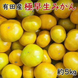 yӂ邳Ɣ[ŁzLcYɑ݂5kgiTCYj2025N10{菇mTM200n