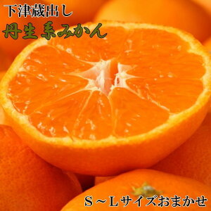 yӂ邳Ɣ[ŁzmnnÑoOn݂5kgiS`LTCY܂j2026N2{菇