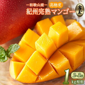 �y�ӂ邳�Ɣ[�Łz����s�\�񁟘a�̎R���Y�@�I�B���n�}���S�[�w�g�ʁx��1kg���x�^2�`3�ʓ���m2026�N7�����{����8�����{�����������\��n�mMG20�n