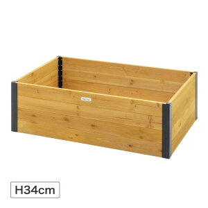 yӂ邳Ɣ[Łz50982900 xW؉t[ H34cm