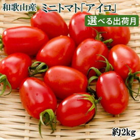 【ふるさと納税】和歌山産ミニトマト「アイコトマト」約2kg（S・Mサイズおまかせ）