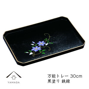 yӂ邳Ɣ[Łz\g[  S 30cm | Ntg H|i | lC  