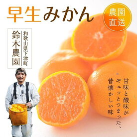 【ふるさと納税】早生みかん（希少な小粒2S~3Sサイズ）5kg混合【和歌山県】鈴木農園より農園直送！ 【北海道・沖縄県・一部離島 配送不可】 | ふるさと納税 楽天 和歌山 海南市 返礼品 蔵出し お礼の品 フルーツ 蜜柑 柑橘類 みかん 5キロ