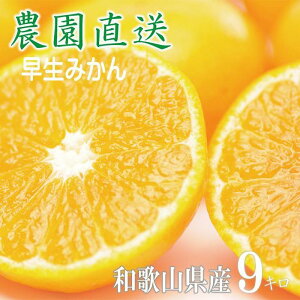 【ふるさと納税】【選べる発送月・内容量】早生みかん約6〜9kg 大玉2L・3Lサイズおまかせ 《ご家庭用》 ちょっと訳あり 和歌山県産 農園直送 まごころ産直みかん【北海道・沖縄県・一部離
