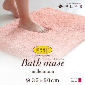 yӂ邳Ɣ[Łzy4FIׂzoX}bg 35×60cm xǍDoX~[Y~jA z RۖhL | oX}bg lC ElZ ōi ƒp J[oG[V 