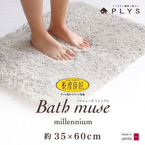 yӂ邳Ɣ[Łzy4FIׂzoX}bg 35×60cm xǍDoX~[Y~jA z RۖhL | oX}bg lC ElZ ōi ƒp J[oG[V 