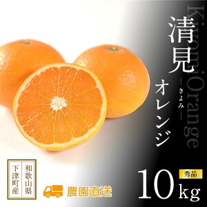 yӂ邳Ɣ[ŁzyIׂeʁzIW 3kg`10kg TCY܂ sԏGt a̎RY _ ܂Y݂ ykCEꌧEꕔ zsz | t[c  