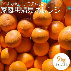 【ふるさと納税】家庭用清見オレンジ 約9kg サイズ混合 「和みかんプレミアム」 【北海道・沖縄・一部離島 配送不可】森本農園 | 産地直送 ふるさと納税 和歌山県海南市 果物 オレンジ フルーツ 柑橘 みかん 果物 くだもの 食品 人気 おすすめ 送料無料