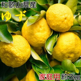 【ふるさと納税】和歌山県産 柚子約3kg （ご家庭用）【TM119】 | フルーツ 果物 くだもの 食品 人気 おすすめ 送料無料