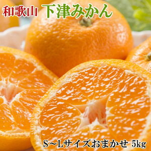 yӂ邳Ɣ[ŁzyYEGiza̎RÂ݂5kgiS`LTCY܂j2025N11{菇yTM133z