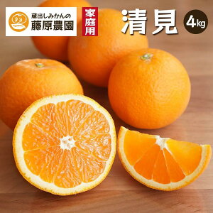 yӂ邳Ɣ[ŁzIWi݂j4kgƒpba̎RCsÒňĂaIWYnł͂y2026N3`\z | t[c ʕ  Hi lC  