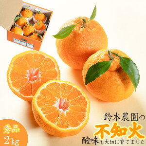 �y�ӂ邳�Ɣ[�Łz�yR8�N�o�ו��z��ؔ_���̕s�m��2kg�i2L����3L�j�@�a�̎R������_�ƒ����I�f�R�|���@����ʂ��@�I�����W�@�炪�ނ��₷���y�k�C���E����E�ꕔ�����ւ̔z���s�z