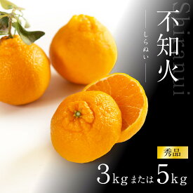 【ふるさと納税】不知火 約3kg 大玉9～11玉入り または 5kg 15～24玉入り 《赤秀》 和歌山県産 農園直送 まごころ産直みかん 【北海道・沖縄県・一部離島 配送不可】 | 海南市 柑橘 果物 赤秀品 人気 おすすめ 不知火 甘い フルーツ 朝食 おやつ ふるさと納税