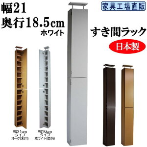 yӂ邳Ɣ[ŁzyIׂJ[zS3F × 21cmԃbN | Ƌ {I bN {bNX CeA lC  