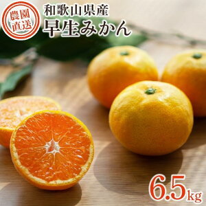 yӂ邳Ɣ[Łz݂ 󂠂 a̎RY݂ ƒp 2kg`10kg Iׂe  | yV a̎R a̎R ԗi 󂠂