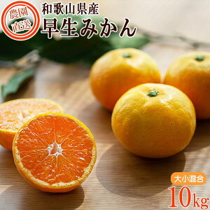 yӂ邳Ɣ[Łz݂ 󂠂 a̎RY݂ ƒp 2kg`10kg Iׂe  | yV a̎R a̎R ԗi 󂠂