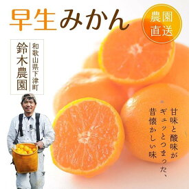 【ふるさと納税】早生みかん【訳あり】約5kg 混合サイズ｜和歌山・下津町産 鈴木農園直送【11月〜12月発送】 | 海南市 小粒 訳あり 家庭用 人気 おすすめ 季節限定 ふるさと納税