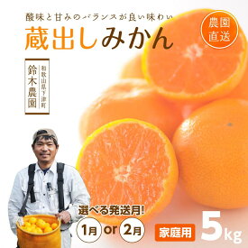 【ふるさと納税】【選べる出荷月！1月 or 2月】 蔵出しみかん5kg（ 大小混合サイズ） または 6kg（大玉 2L又は3Lサイズ）訳あり ご家庭用 農園直送 ※北海道・沖縄・離島への配送不可 | 海南市 蔵出しみかん 訳あり 家庭用 人気 おすすめ お取り寄せ ふるさと納税