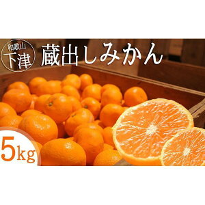 【ふるさと納税】蔵出しみかん【選べる3kg・5kg】小粒S・SS or S・M・Lサイズお任せ<1月発送・2月発送!>和歌山県みかんの鈴木農園より直送|贈答 ギフト 2Sサイズ 小玉 ※北海道・沖縄・離