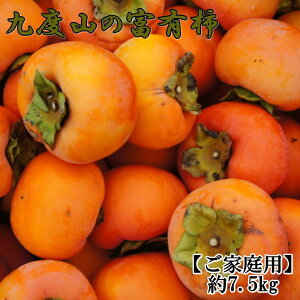 yӂ邳Ɣ[Łz`̖YnxR̕xL`7.5kgƒp2025N11{菇yTM1z