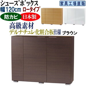 【ふるさと納税】【全3色】高級素材仕様 シューズボックス 幅120 ロータイプ | インテリア ファニチャー 家具 人気 おすすめ 送料無料