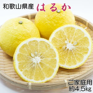 yӂ邳Ɣ[Łzm₩kna̎RY͂邩݂4.5kgiTCY@ƒpj2026N2{菇mTM161n | t[c ʕ  Hi lC  