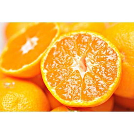 【ふるさと納税】［先行予約］【選べる容量】完熟早生みかん 家庭用 約2kg or 約5kg S～SSSサイズ混合 | ふるさと納税 楽天ふるさと 和歌山 和歌山県 海南市 返礼品 お礼の品 特産品 果物 フルーツ ミカン 蜜柑 柑橘類 みかん わけあり 完熟 わせ 早生 2kg 5kg S SS SSS