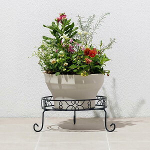 yӂ邳Ɣ[Łz98917100 fUCt[X^h Eh S 38.5cm×s38cm×15cm | ԃt[ A t[X^h lC  