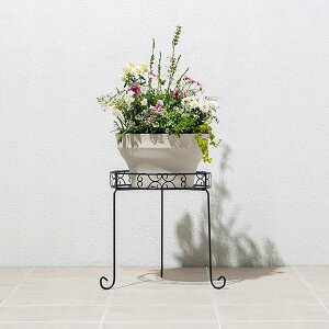yӂ邳Ɣ[Łz98918800 fUCt[X^h Eh M 38.5cm×s38cm×35cm | ԃt[ A t[X^h lC  