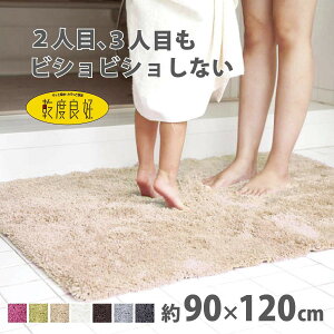 【ふるさと納税】【選べるサイズとカラー】 乾度良好 Dナチュレ バスマット 吸水速乾 裏面すべり止め加工 抗菌防臭 洗える 足拭きマット | バスマット 乾度良好 吸水速乾性 人気 ホテル 最
